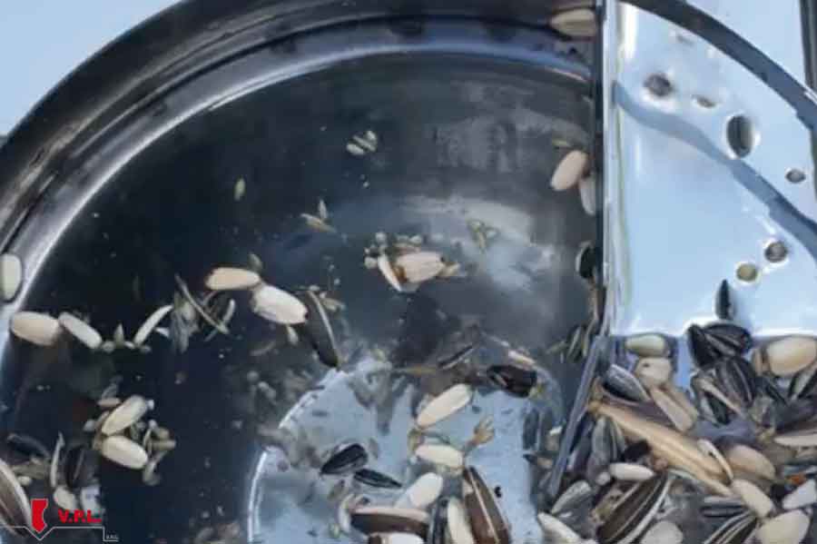 ciotola dell'acqua sporca
