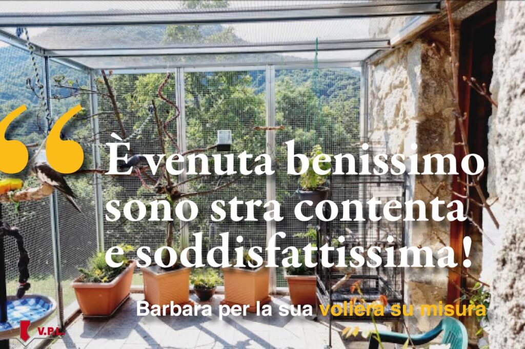 È venuta benissimo sono stra contenta e soddisfattissima! Barbara per la sua voliera su misura