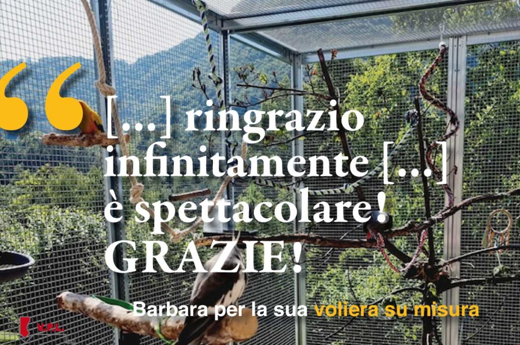 Ringrazio infinitamente è spettacolare! Grazie! Barbara per la sua voliera su misura