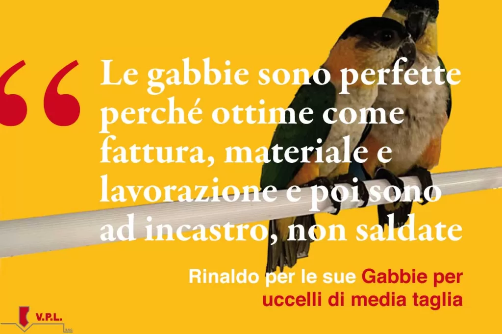 Le gabbie sono perfette perché ottime come fattura, materiale e lavorazione e poi sono ad incastro, non saldate